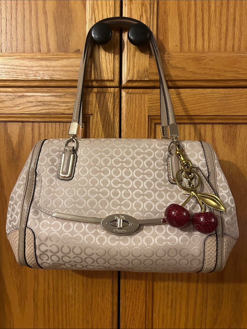 Coach Madison Op Art Pearlescent Small Madeline East/West Satchel